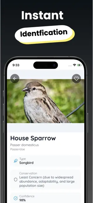 Bird Identifier - Birdie screenshot 2