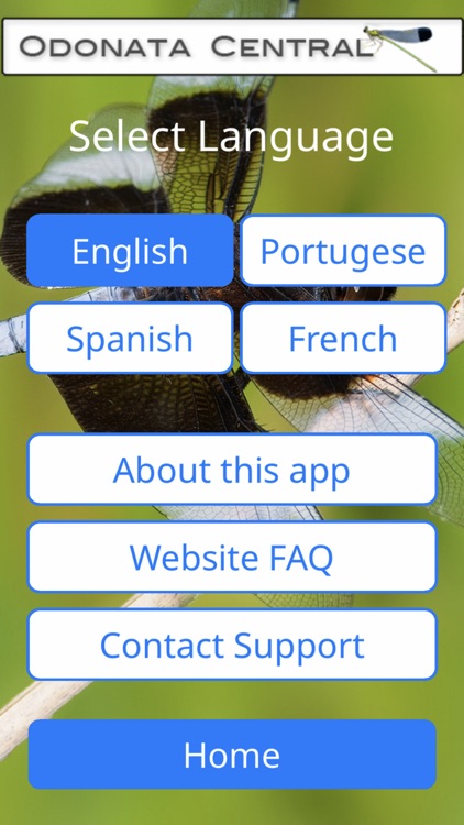 Odonata Central screenshot-3