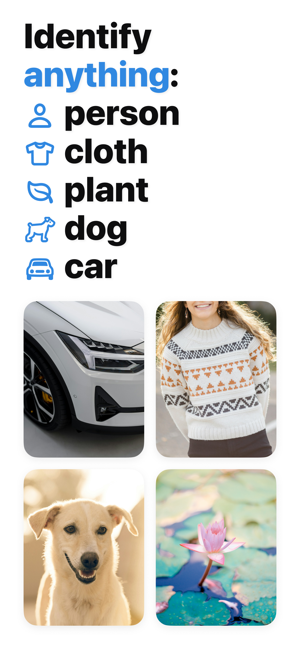 Reverse Image Search: Eye Lens Screenshot