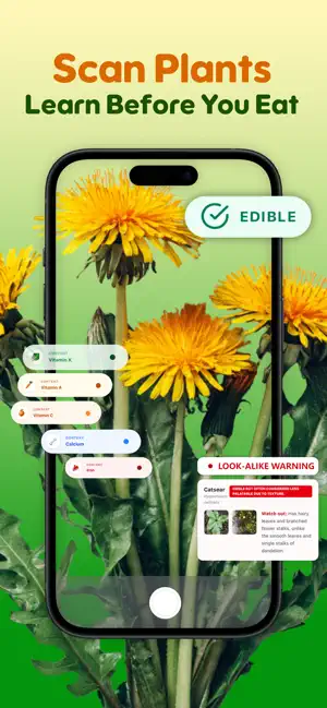 Edible Plant Identifier screenshot 1