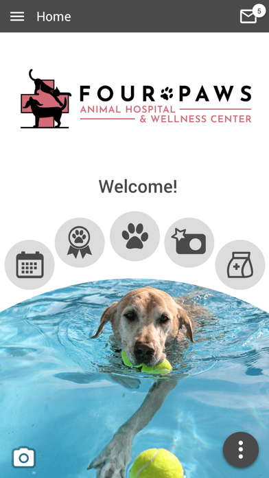 Four Paws AHWC Screenshot