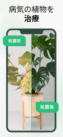 PlantGo - 植物識別子 のスクリーンショット