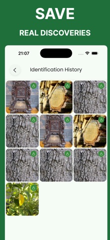 Woodify: Wood Identification Screenshot 6 of 6