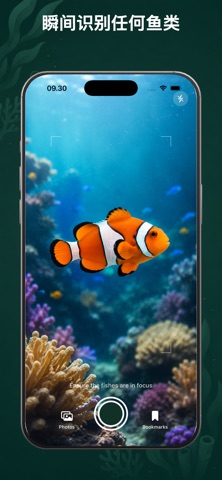 鱼类识别器 ◦ Fishery screenshot