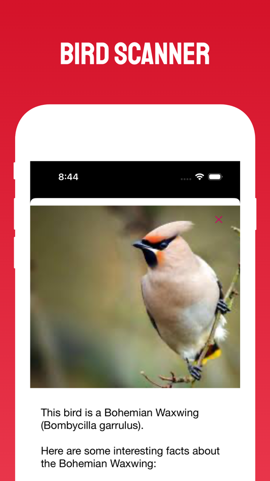 #2. Bird Scanner (iOS) 由: RLAM FZCO