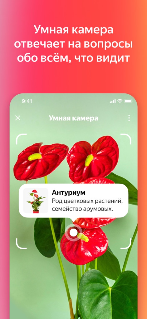 Yandex with Alice AI - Intelligent Camera Scan