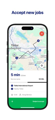 Tbilisi Taxi Driver screenshot