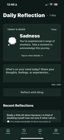 Ming: Reflection Journal Screenshot 1 of 5