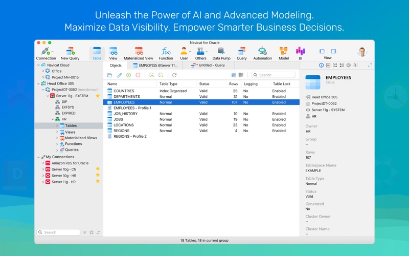 Navicat 17 for Oracle app screenshot
