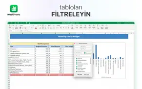 mobioffice - sheets iphone resimleri 4
