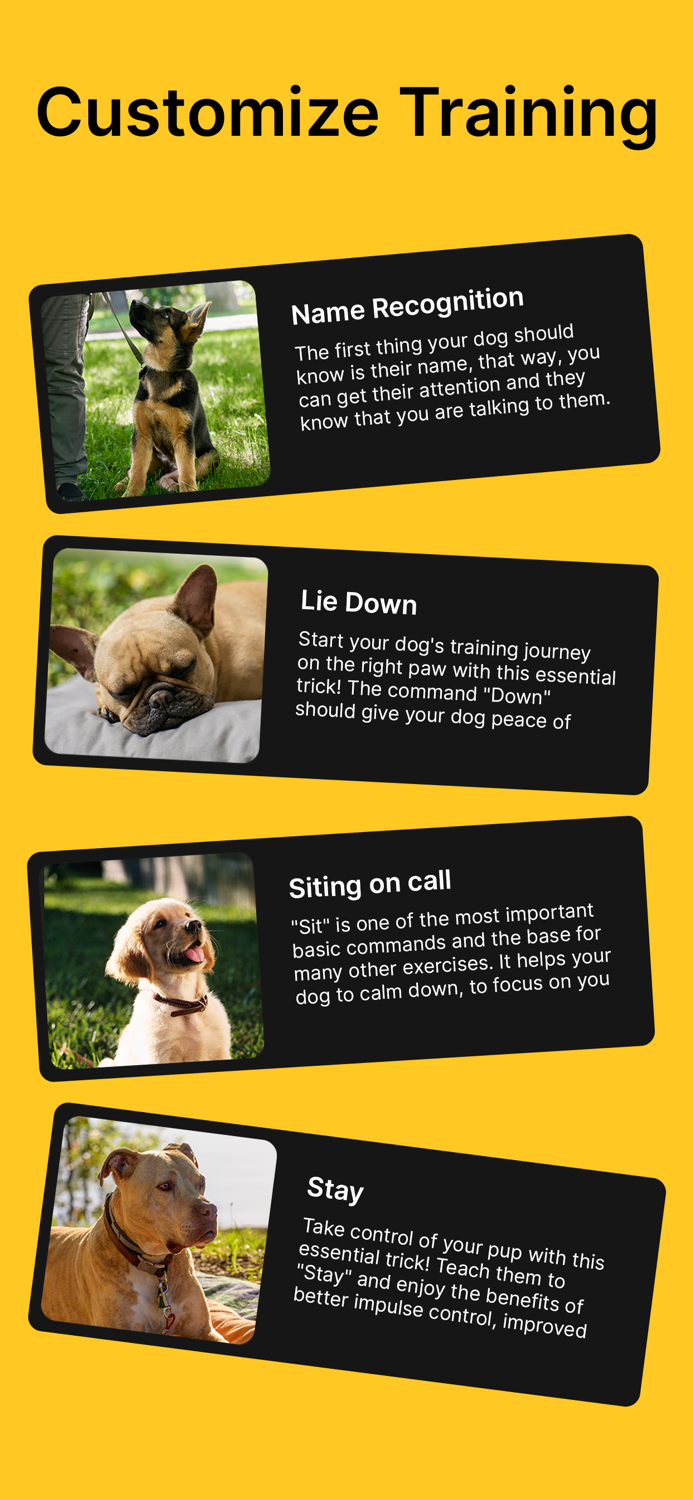 Dog Training  Pet Care Tricks