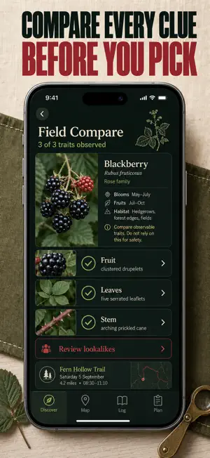 Foraging: Wild Edible Plants screenshot 3