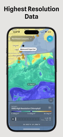 Salty Offshore screenshot