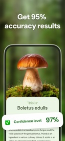 Mushroom ID - Fungi Identifier screenshot