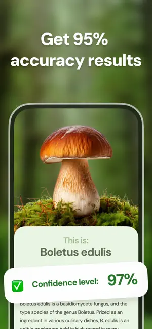 Mushroom ID - Fungi Identifier screenshot 4