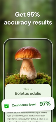 Mushroom ID - Fungi Identifier screenshot 4