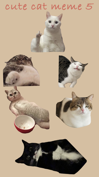 Cute Cat Meme 5 Screenshot