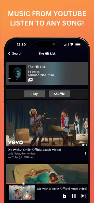 Music Downloader / MP3 Player iPhone screenshot 3