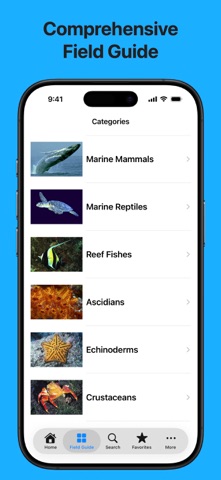 Galápagos Marine Life screenshot