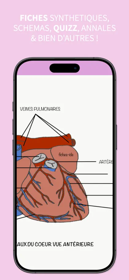 Screenshot 4 di 4 di Fiches IDE