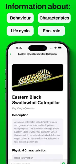 Bug Identifier - Insect ° screenshot 2