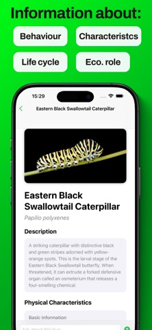 Bug Identifier - Insect ° Screenshot 2 of 5