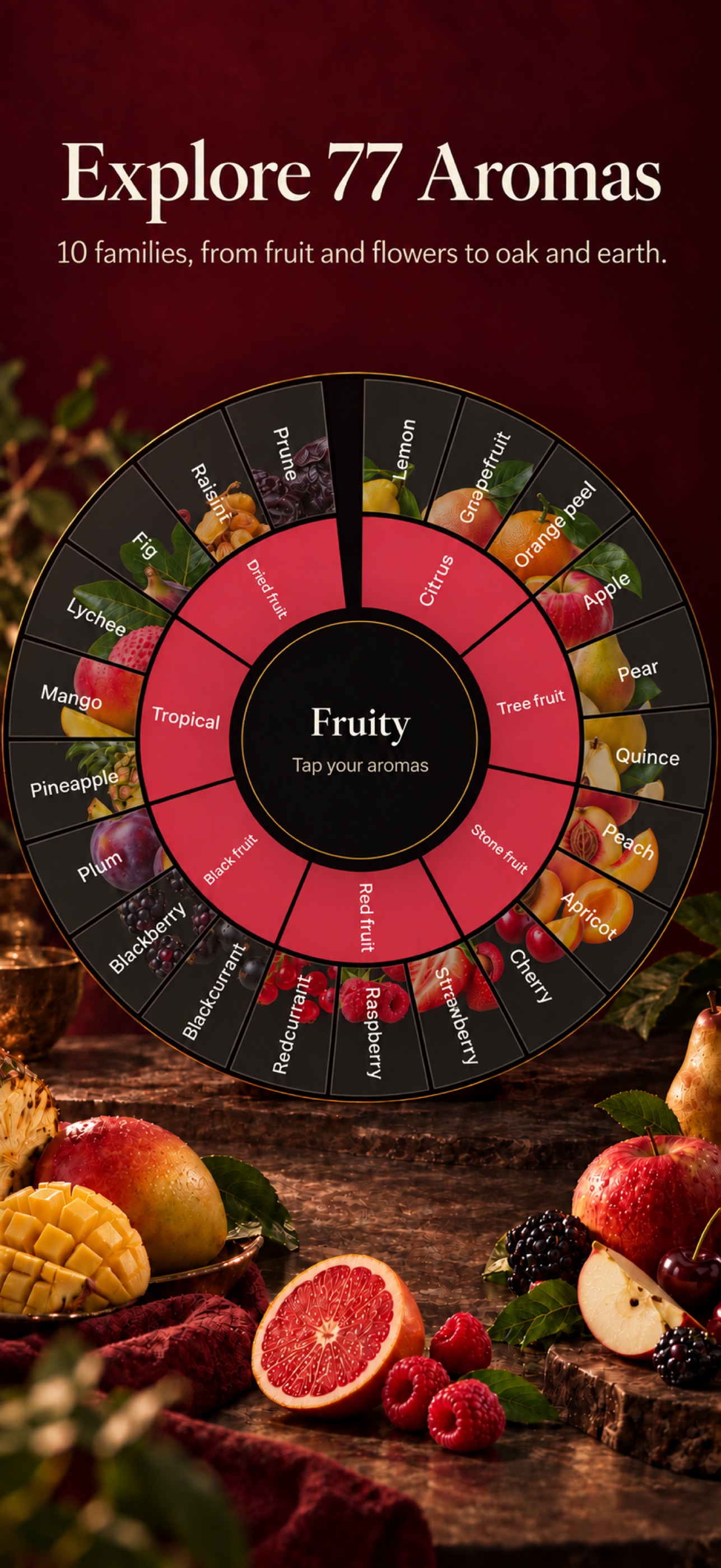 Screenshot 2 of Wine Aroma Wheel