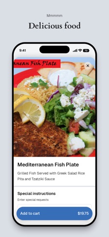 Gyros And More iPhone screenshot