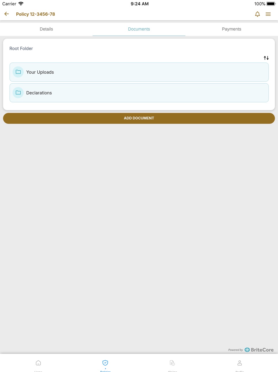 iPad screenshot