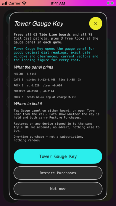Dreisstaint screenshot 7