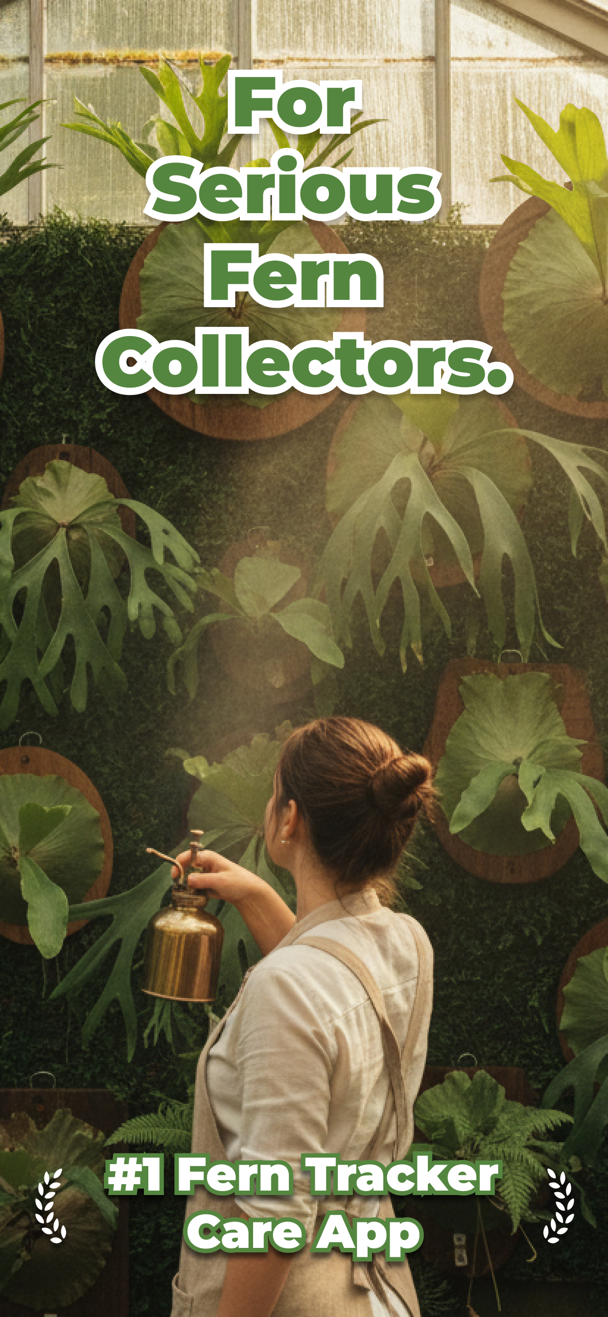 Fern: Plant Journal & Care