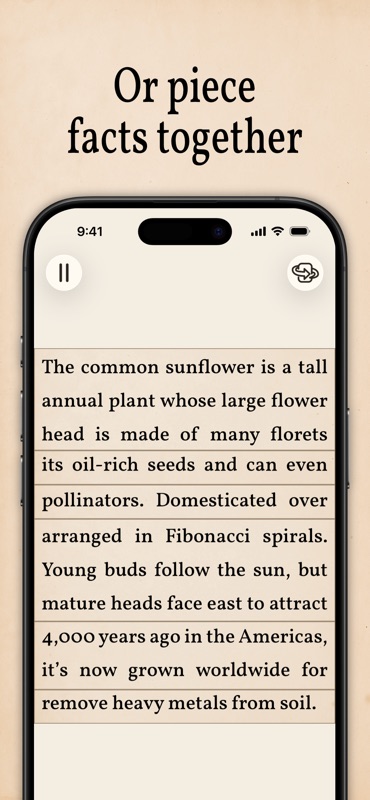 Art of Flora: Rompecabezas screenshot 4
