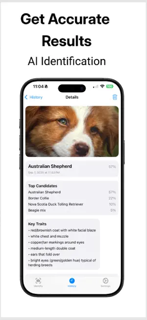 Dog Identifier AI screenshot 2