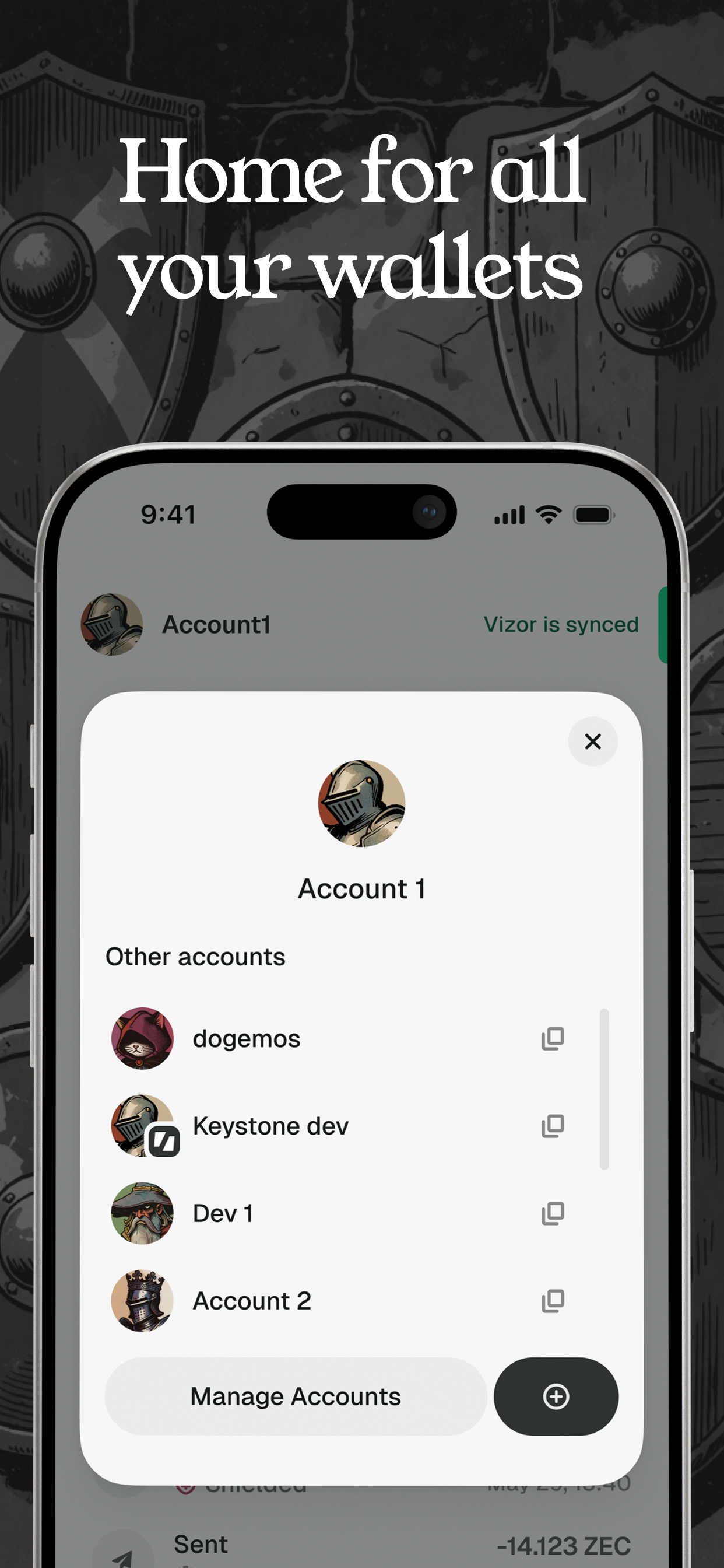 Vizor Wallet screenshot 3