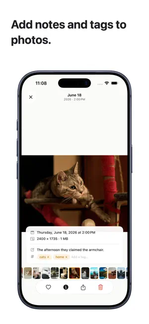 Spaces: Photo Organizer screenshot 2