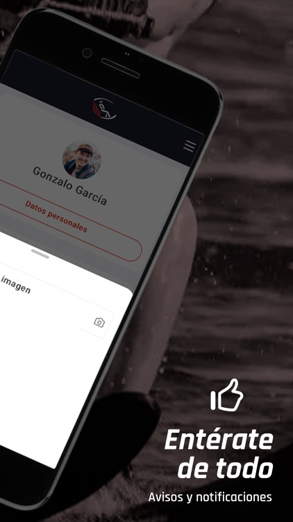 F.CAT ESQUÍ NAUTIC I WAKEBOARD