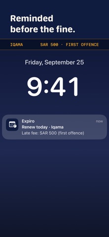 Expiro: Renewal Calendar Screenshot 3 of 8