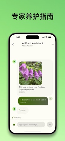 植物识别 + screenshot