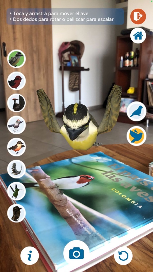 #3. El Reino Alado (iOS) 来自: Kaleido Lab S.A.S