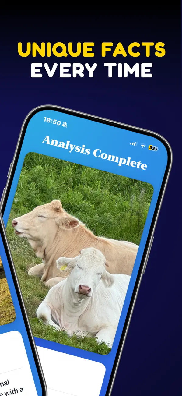 Screenshot #3 pour What Cow: AI Cattle Identifier