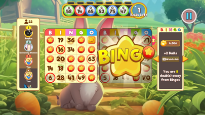 Bingo Pets - Free the Pets Screenshot