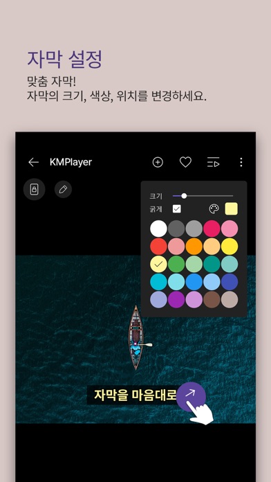 KMPlayer Plus (Divx Codec)