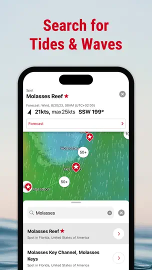 Windfinder Pro: Wind & Weather iPhone-skjermbilde 8