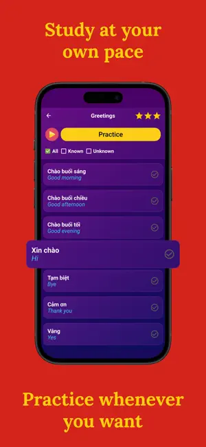 Learn Vietnamese (Beginners) screenshot 3