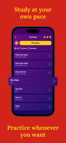 Learn Vietnamese (Beginners) Screenshot 3 of 7