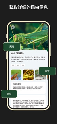 昆虫识别 - 识虫 screenshot