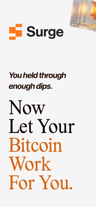 Surge Credit Screenshot 1 of 5