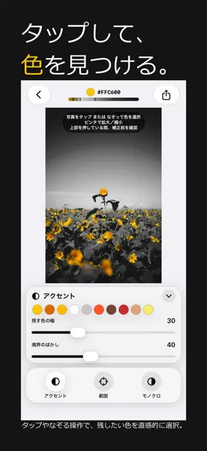 Accent - Selective Color screenshot 2