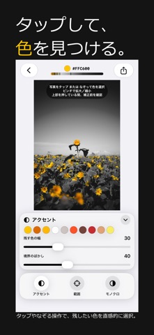 Accent - Selective Color iPhone screenshot 2