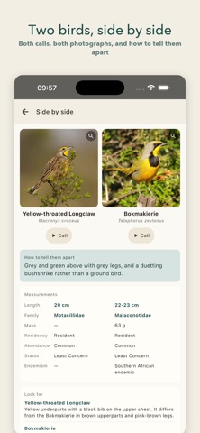 eLearningBirds screenshot